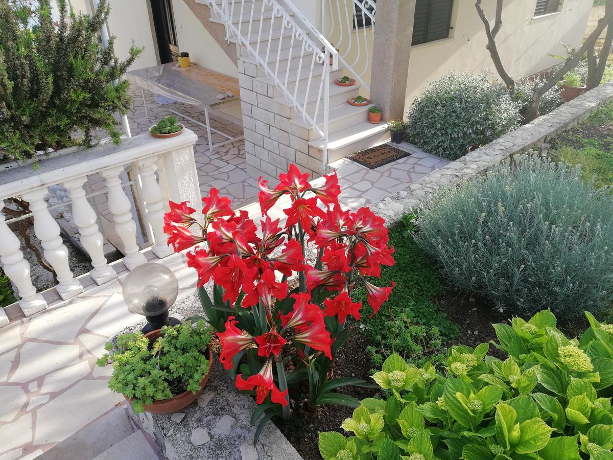 Apartment Cactus Donji Okrug  Esterno foto